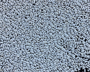 ผู้จัดจำหน่ายข้าวเหนียวคุณภาพสูง ขายส่งข้าวเหนียวสำหรับของหวาน อาหารพื้นเมือง และตลาดโลก - Product Image 4