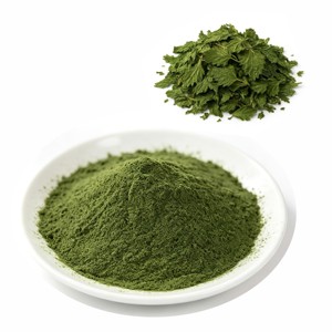 Polvo de Hoja de Ortiga 100% Puro al por Mayor para el Cuidado del Cabello, Polvo de Urtica Dioica Premium para Mascarillas Capilares y Tratamientos del Cuero Cabelludo - Product Image 1