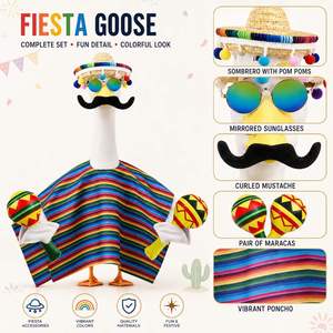 Déguisement de Statue d'Oie pour Fête Mexicaine : Poncho Coloré, Sombrero, Moustache, Lunettes de Soleil, Décoration Extérieure - Product Image 2