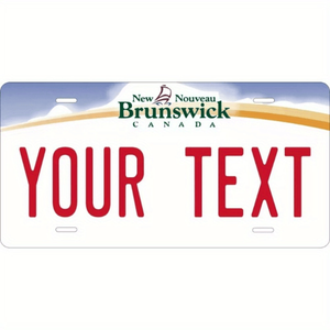 CIFbuy Plaque décorative personnalisée 12x6 pouces Ohio School Spirit pour voiture avec TikTok pour le service de retrait Temu - Product Image 4