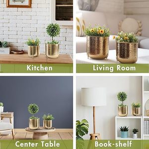 Macetas Modernas de Latón, Doradas, para Interiores, Diseño Minimalista, Patrón Circular, Decoración del Hogar - Product Image 2