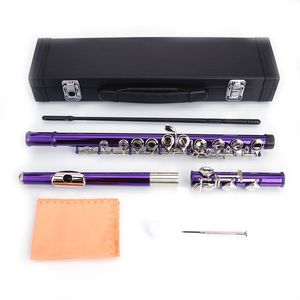 Flauto da Concerto in Cupronickel C 16 con Design a Fori Aperti Viola e Chiavi in Legno, Strumento BB - Product Image 1