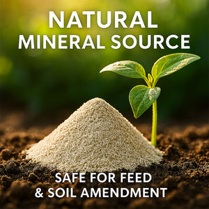 <span class=keywords><strong>Poudre</strong></span> de <span class=keywords><strong>zéolite</strong></span> minérale naturelle de qualité agricole biologique pour l'amélioration des sols - avec un CEC élevé pour prévenir le transfert des nutriments - Product Image 2