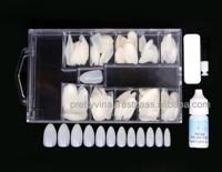 Lot de 200 faux ongles carrés naturels en ABS, forme amande, avec colle certifiée CE |   OEM/ODM Ensemble complet fourni par l'usine Finger