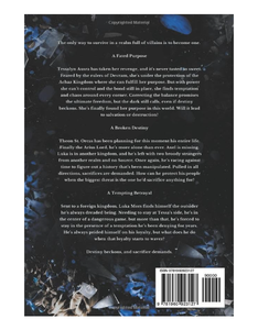 Tempête de rage et de vengeance, série The Legacy de Melissa K. Roehrich.. (Vente en gros) - Product Image 2