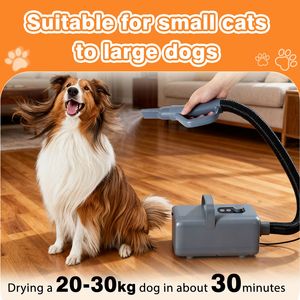 Secador de Mascotas de Alta Velocidad de 1550W con Velocidad y Temperatura Ajustables, 4 Boquillas, Secador de Pelaje para Perros, Calentador Incluido - Product Image 6