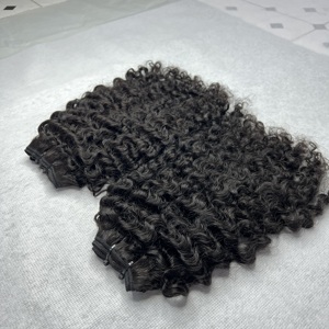 Lista de precios al por mayor Texturas rizadas Vietnamita Humano Birmano Rizado Virgen Cutícula Alineada Cabello - Product Image 1