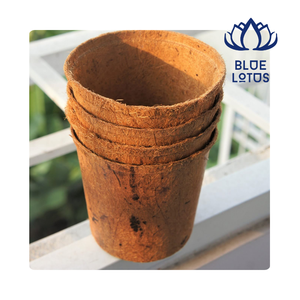 Maceta de Fibra de Coco de Primera Calidad para Uso en Viveros y Jardines, Vietnam 2026 - Product Image 1