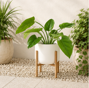 Support de plantes en bois moderne réglable, support de pot de fleurs en bois écologique pour la décoration intérieure du salon - Product Image 6