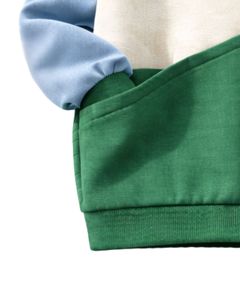 Sweat-shirt en molleton personnalisé bleu ciel et vert à blocs de couleur avec fleurs brodées pour femme, col rond en mélange de coton, décontracté d'hiver, OEM - Product Image 5