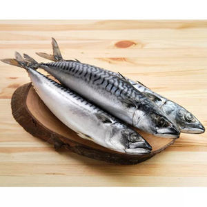 Pescado Atún Congelado, Mariscos Frescos Congelados - Product Image 1