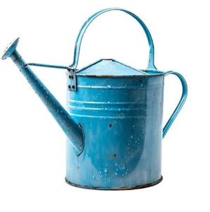 Modern Style Superior Quality Water Storage Household Metal Watering Can Green Finished For Home & Hotel <b>Garden</b> Daily Used - Product Image 6