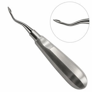 Elevador de Raíces Curvo Grande, Ergonómico, Manual, de Acero Inoxidable, Instrumento Dental para Extracción, Herramienta de Cirugía Oral - Product Image 1
