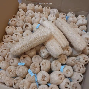 Éponge de Luffa Naturelle Biologique Entière 25-30cm, Cultivée au Vietnam, Design Simple, Emballage Biodégradable, Utilisation Corporelle - Product Image 1
