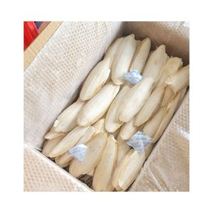 Choix Populaire : Os de Seiche Nettoyé, Riche en Calcium, Idéal pour Jouet de Rooster et Complément de Calcium pour Coquillages de Reptiles - Product Image 5