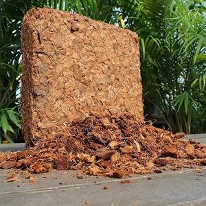 Material de cultivo orgánico de coco, material de aireación para raíces de plantas, cáscara de coco en bloques de 5 kg, comprimido - Product Image 2