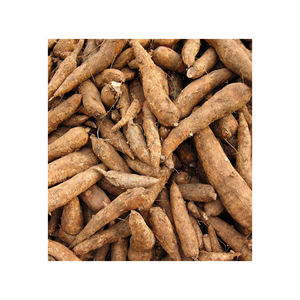 แป้งมันสำปะหลังออร์แกนิกธรรมชาติสำหรับการอบ การแปรรูปอาหาร และการใช้งานในอุตสาหกรรม - Product Image 5