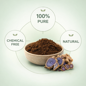 Poudre de gingembre noir déshydratée Kaempferia Parviflora, extrait naturel de haute qualité, en vrac, 100 kg, pour les produits nutraceutiques - Product Image 2