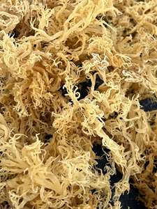 วัตถุดิบออร์แกนิก สาหร่ายทะเลแห้ง Eucheuma Cottonii สีทองม่วง สาหร่ายธรรมชาติ ซูเปอร์ฟู้ดวีแกน ขายส่ง - คุณเกรซ - Product Image 3