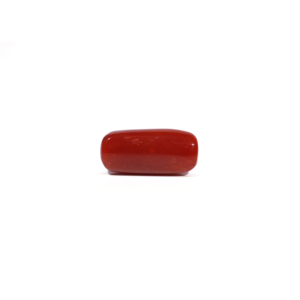 Natural Red Coral Oval Cabochon Loose Gemstone 7.02 Carat Certified Wholesale - Product Image 2