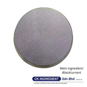 Premium High Quality Blackcurrant Juice Powder Halal OEM B2B <b>Best</b> Supplier Guarantee Top Sale Antioxidant Health Beverage Mix - Product Image 6