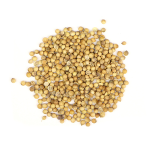 Semillas de Cilantro de la Mejor Calidad, 100% Puras y Naturales, Especia Culinaria Seca, Vida Útil de 2 Años, Proveedor a Granel para Fabricantes de Alimentos - Product Image 1