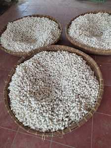 Venta Silkworm Cocoon Natural Eco Material blanco fibra cruda para girar seda blanca Silkworm Cocoon para la belleza de la piel de Vietnam - Product Image 2