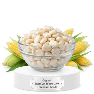 ข้าวโพดขาวเกรดพรีเมียม ความบริสุทธิ์ 99% ข้าวโพดบราซิล ข้าวโพดเมล็ด คุณภาพส่งออก ข้าวโพดสะอาด คุณภาพสูง สำหรับอาหารสัตว์ เกรดอาหาร - Product Image 2