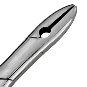 Pinzas para Extracción de Dientes # Instrumento Quirúrgico Dental Manual de Acero Inoxidable para Incisivos Superiores y Caninos, Extracción Profesional - Product Image 5