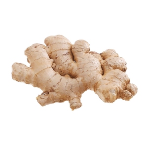 Nueva Cosecha, Gran Oferta, Buen Precio, Jengibre Fresco de Vietnam, Suministro a Granel, Estándar Internacional - Product Image 2