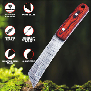 Couteau de chasse artisanal en acier inoxydable avec couteau à dépecer incurvé confortable fait main, manche en bois Pakka et étui en cuir - Product Image 2