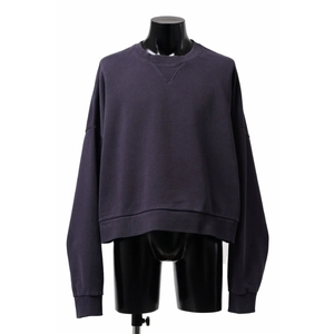 <b>Men's</b> High Autumn Winter Sweatshirt Thickened Casual French Terry Fleece Solid Digital Printing Crew Neck - Product Image 2