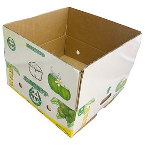 Caja de Papel Protectora Plegable de Cartón Corrugado de 3 Capas Reciclado y Ecológico, con Logotipo Personalizado, para Cocos Frescos Jóvenes, Rectangular con Ranuras - Product Image 1