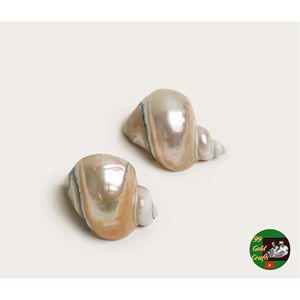 Porta Servilletas de Conchas Marinas Hecho a Mano de Primera Calidad, Decoración de Mesa Costera Exótica para Fiestas de Lujo - Product Image 2