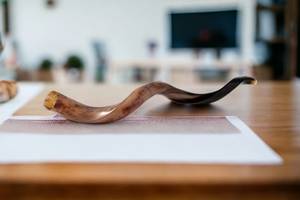 Shofar de Cuerno de Carnero Kosher Pulido |   Material Orgánico de Tacto Real |   Auténtica trompeta judía de Uttar Pradesh - Product Image 3