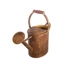 Arrosoir en fer rustique de haute qualité avec poignée en bois, outil de jardinage durable, finition peinte - Product Image 6
