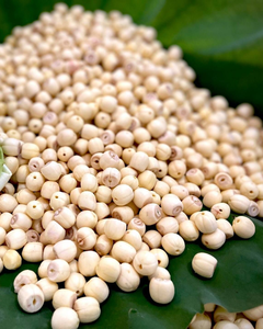 SEMILLAS DE LOTO SECAS DE VIETNAM - ALIMENTO NATURAL SALUDABLE DE CALIDAD PREMIUM OFERTA ESPECIAL PRODUCTO DE EXPORTACIÓN MÁS VENDIDO - Product Image 1