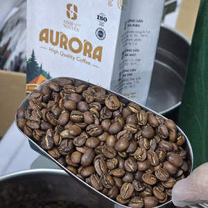 กาแฟอาราบิก้าออโรร่า คั่วกลาง รสผลไม้ เปรี้ยวอ่อน บรรจุถุง 1 กก. ขายส่ง โรงงาน OEM เวียดนาม - Product Image 1