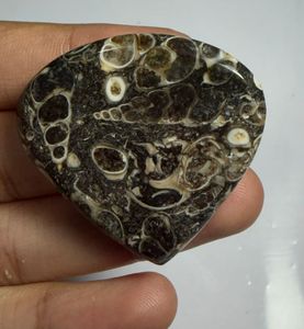 Cabujón de ágata Turritella en forma de corazón, mineral pulido para la fabricación de joyas - Product Image 2