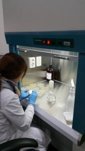 โปรโมชั่นสุดพิเศษสำหรับเครื่องย่อยอาหาร Exbio 750 กก./วัน ความจุขนาดใหญ่ เครื่องทำปุ๋ยหมักจากขยะอาหาร สำหรับการสั่งซื้อจำนวนมาก - Product Image 2