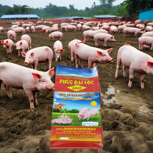 Sac tissé en PP recyclable à haute efficacité du Vietnam Emballage de stockage en plastique de haute valeur durable de protection par estampage à chaud - Product Image 6