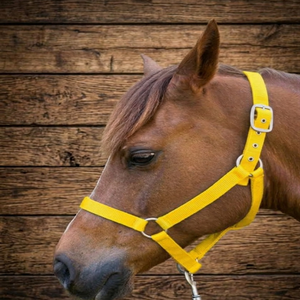 Nouvelle harnais de cheval en nylon jaune personnalisé, réglable, fait main, plusieurs options de couleurs, G.K. INTERNATIONAL NH 1816 - Product Image 1