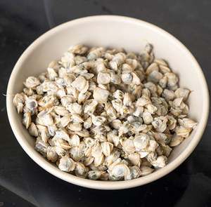 Carne de Almeja Bebé Vietnamita Premium, Cocida y Lista para Comer, Ideal para Salteados, Sopas, Papillas y Arroz - 1 kg, Envasada al Vacío y Congelada - Product Image 2