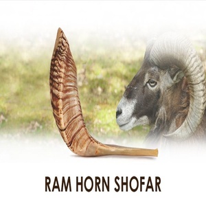 Shofar de Cuerno de Carnero - Decoración Religiosa Ecológica Hecha a Mano para el Hogar - Product Image 1