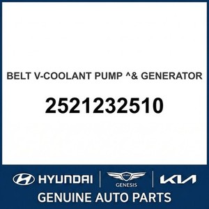 Repuestos y Accesorios para Autos y Camionetas Sonata Nuevos 2521232510 - Product Image 1