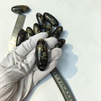 Cristal de Quartz Clair de Qualité Supérieure Noir Que Sera Shiva Lingam, Technique Mosaïque, Gravé, Forme Ovale, Pierre Précieuse, Objet d'Art de Collection