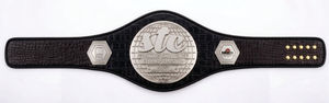 Ceinture de champion de lutte personnalisée, noire, or, rouge, durable, unisexe, équipement d'entraînement d'arts martiaux, ceinture de champion en cuir véritable - Product Image 6
