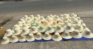 Biodegradable Custom Straw <b>Hat</b> With Custom Logo/ Straw <b>Hats</b> for Women/ Straw <b>Hats</b> for Men in Vietnam by Eco2go Vietnam - Product Image 5