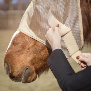Horse Riding <b>Fly</b> <b>Mask</b> With Ears And Nose Protection Mesh Design For Sun And Insect Defense Horse Riding <b>Fly</b> <b>Mask</b> - Product Image 3