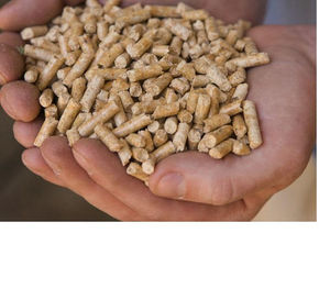 Pellets de Madera de Pino de Alta Densidad para una Combustión Eficiente en Quemadores de Biomasa, Sistemas de Calefacción Central y Hornos Comerciales - Product Image 2